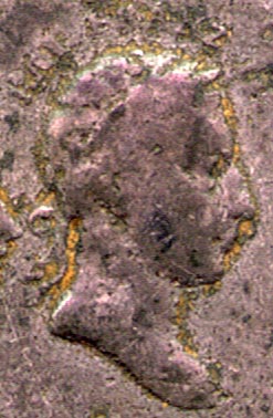Detail of the obverse...