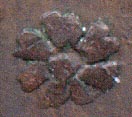 Detail of reverse...